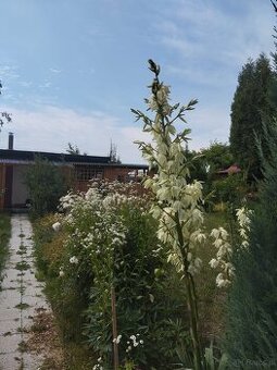 Sprzedam ładną działkę ROD - możliwość używania cały rok