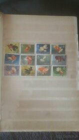 Kolekcja znaczki pocztowe
