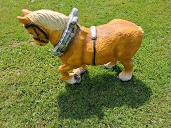 Sprzedam konika ogrodowego