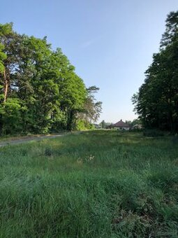 Działka budowlana z warunkami o powierzchni 1000m2,Skrzatki