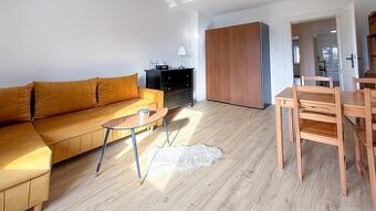 Przestronne i klimatyczne mieszkanie Hetmańska/Głogowska