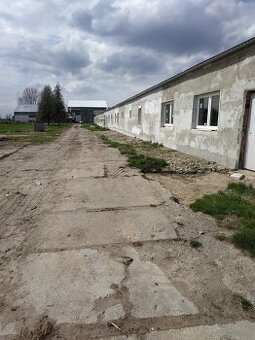 Syndyk sprzeda zorganizowaną część przedsiębiorstwa