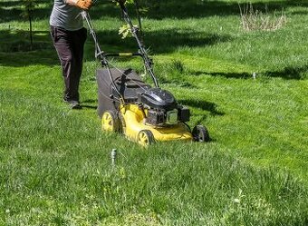 Koszenie trawnikó-pielęgnacja ogrodów-Zapisy.
