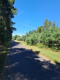 Działki budowlane o powierzchni 1253m2-1686m2, Prażuchy Nowe
