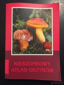 Kieszonkowy atlas grzybów - 1