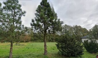 Działka budowlana o pow. 1450 m2, Skarszewek