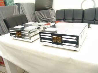 Burmester 850 Mono Block ( Price : 1700 EUR ) - 1
