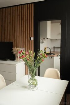 Wynajmę przytulną kawalerkę.