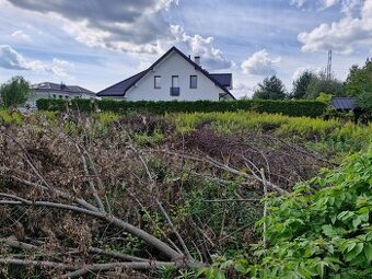 Wycięte drzewa i krzewy oddam np. na opał
