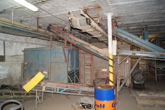 Linia do sortowania ziemniaków cebuli 10ton/h