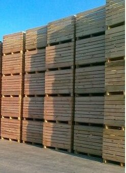 SKRZYNIOPALETY uniwersalne 1200X1000X900 na warzywa. OFERTY