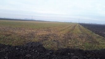 Działka rolna z warunkami zabudowy o pow. 4ha, Ilno