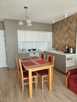 Do wynajęcia długoterminowego Apartament wraz z miejscem pos - 1