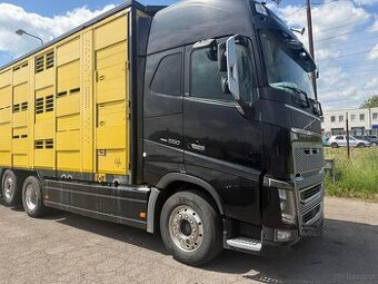 Auto do przewozu Bydła Volvo FH16  550  rok pr 2017  243tys