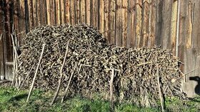 DREWNO SEZONOWANE ROZPAŁKOWE/WĘDZENIE twarde, 150zł/mp