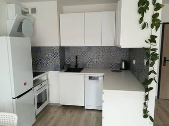 Mieszkanie do wynajęcia w Gdańsku