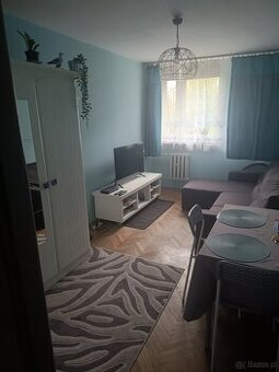 Mieszkanie do wynajęcia