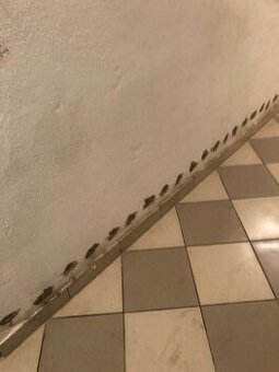 iniekcja krystaliczna podciąganie kapilarne wilgoć