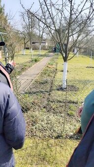 Dzialke ROD do odstapie Wroclaw