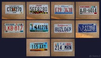 10x oryginalna tablica rejestracyjna USA