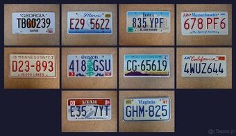 10x oryginalna tablica rejestracyjna USA