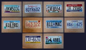 10x oryginalna tablica rejestracyjna USA