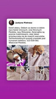 margo571@wp.pl