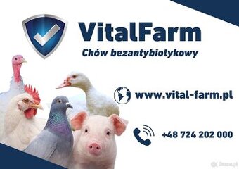 Witaminy, minerały, zioła w płynie do podawania w wodzie.