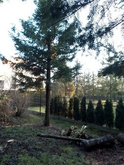 Dom w Żywcu duży 3x 80 m z przyziemiem