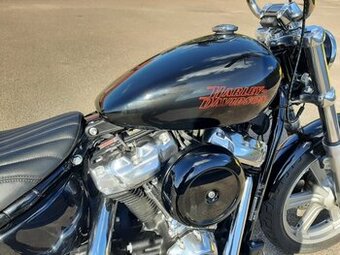 Harley davidson softail standard 2024