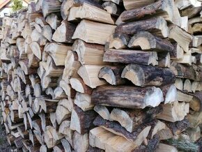 Drewno sosnowe opałowe