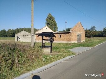 Sprzedam działkę siedliskową z zabudowaniami