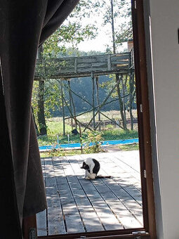 Wynajme pokoje gościnne w malowniczej okolicy