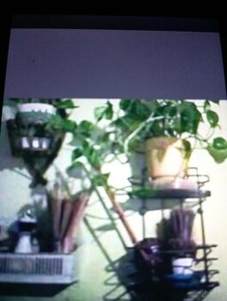 Szukam samotnego pana do związku