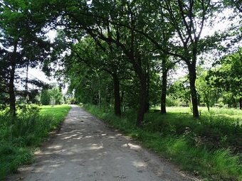 Działka pod inwestycję mieszkaniową, Zajączków