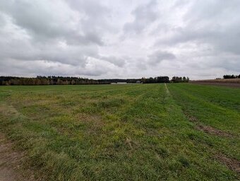 Działka rolna o powierzchni 7393m², Nadzież, obręb Strzałków