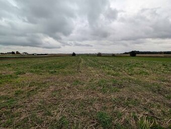 Działka rolna o powierzchni 4293m², Strzałków, gm. Lisków