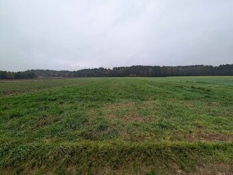 Działka rolna o powierzchni 1700m², Chrusty, gm. Lisków