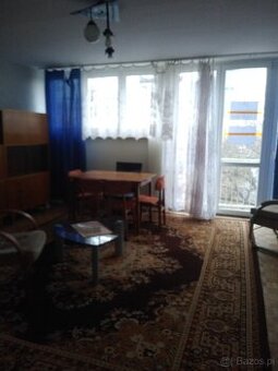 Mieszkanie do wynajęcia