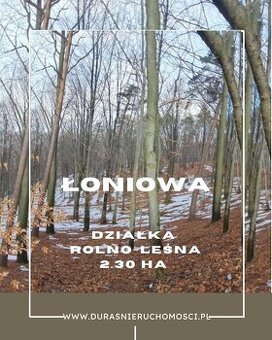 Łoniowa działka rolno-leśna 2.30 ha