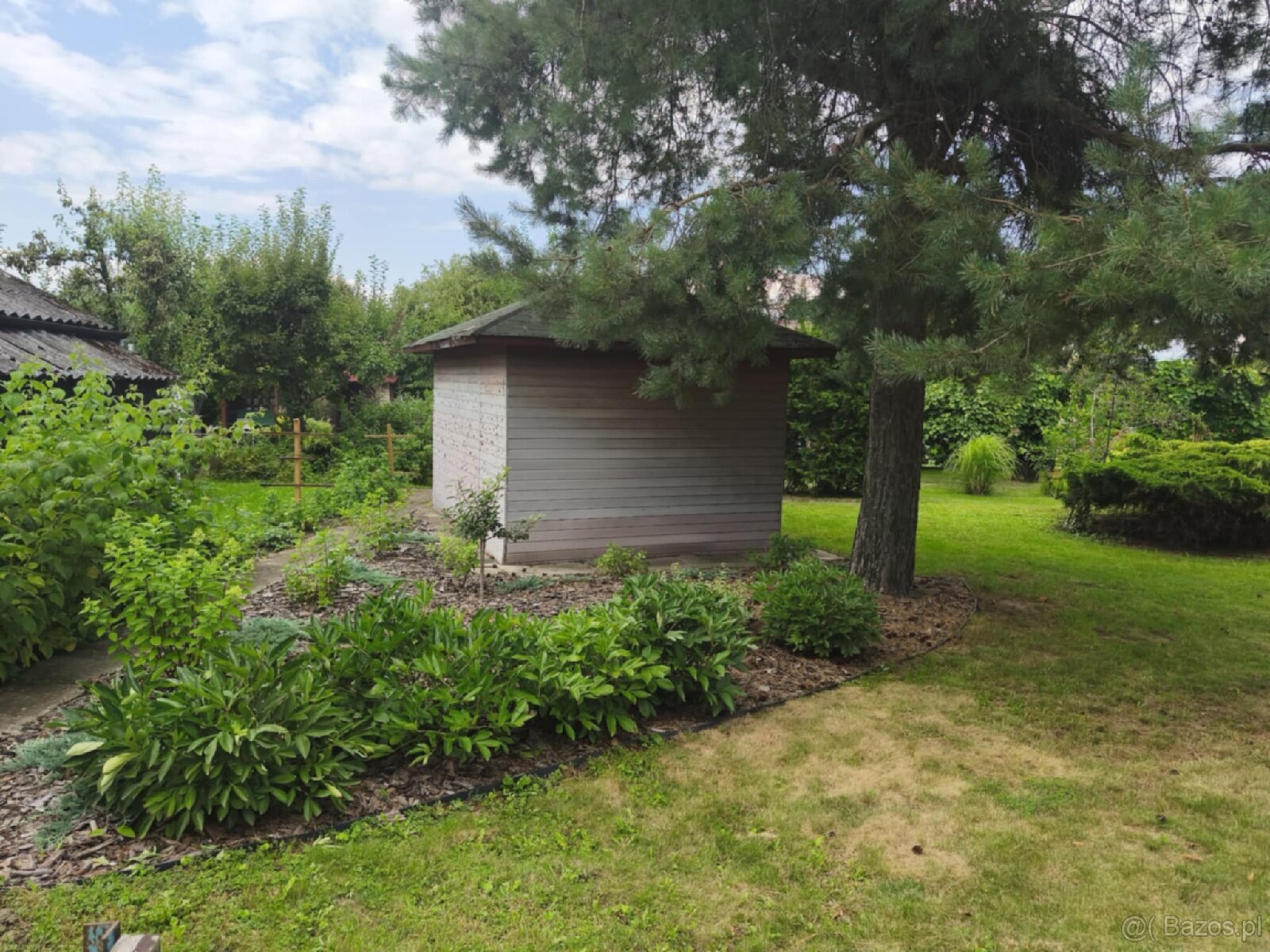 ROD "Słonecznik" Tarnów ul. Ostrogskich - 2