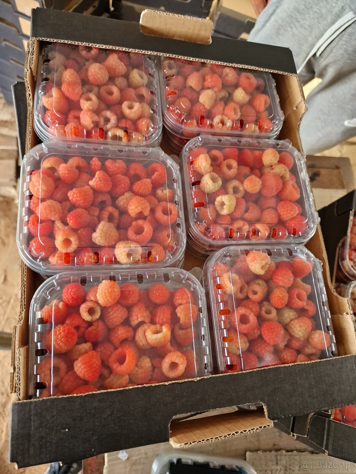 Import owoców i warzyw - 2