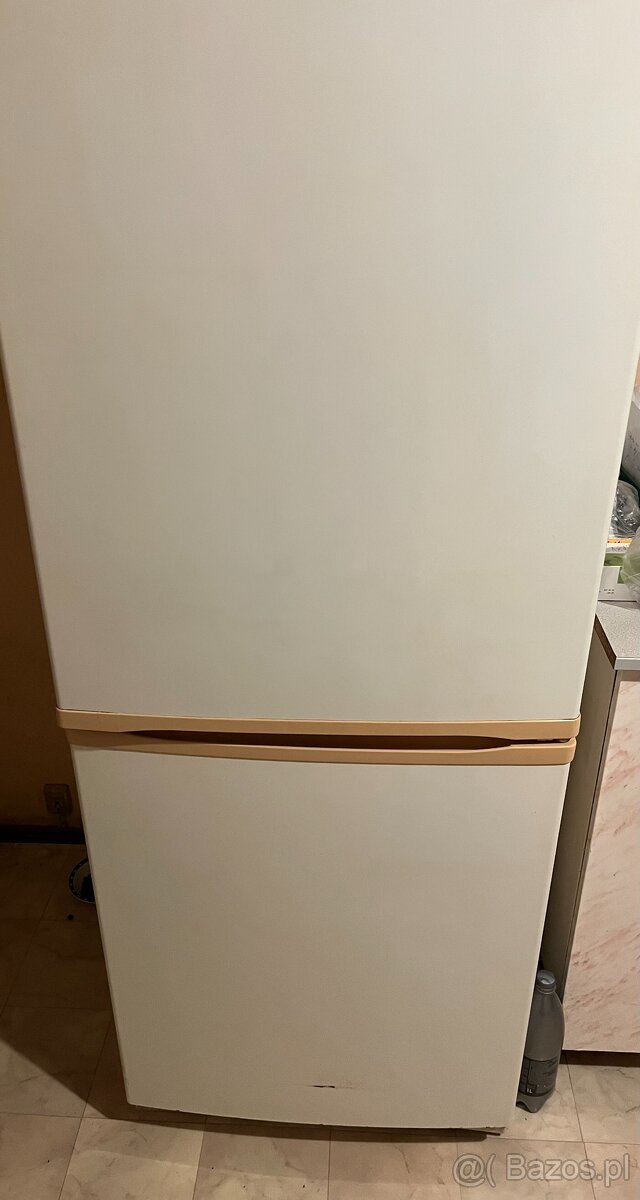 TANIO cena za obie- duża lodówka i dobrze mrożąca zamrażarka - 2