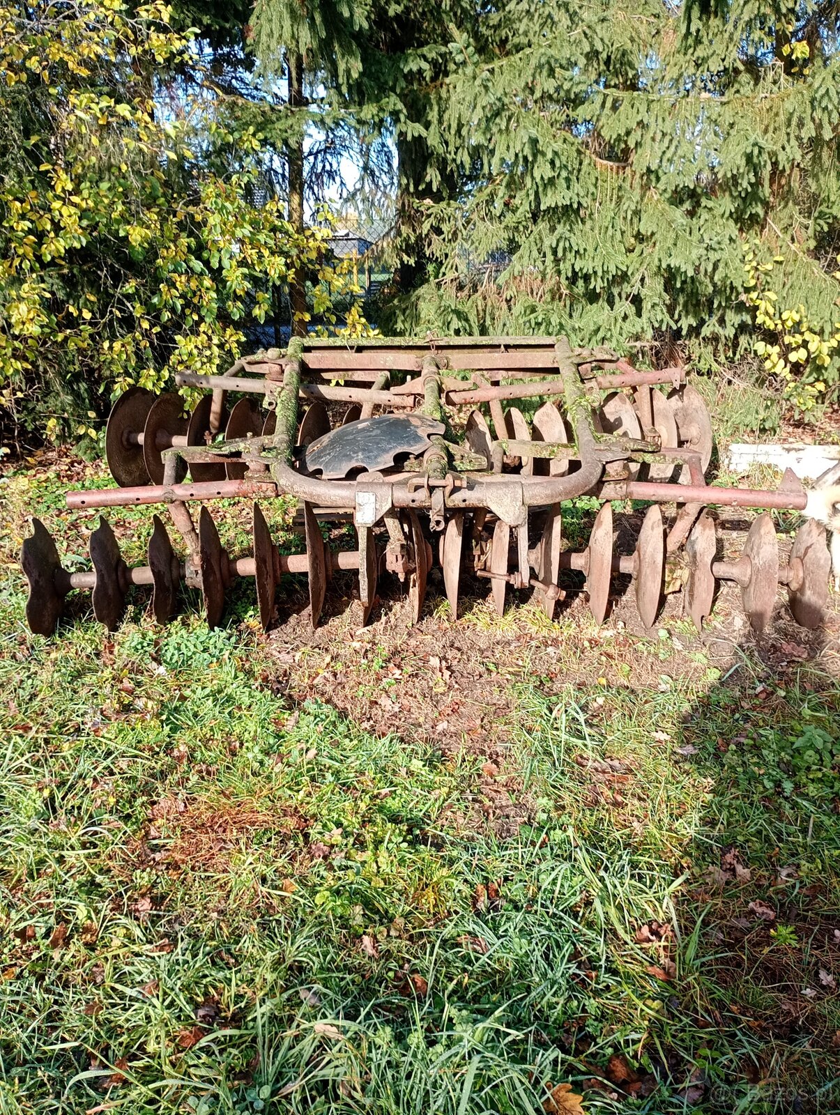 Talerzówka - 2