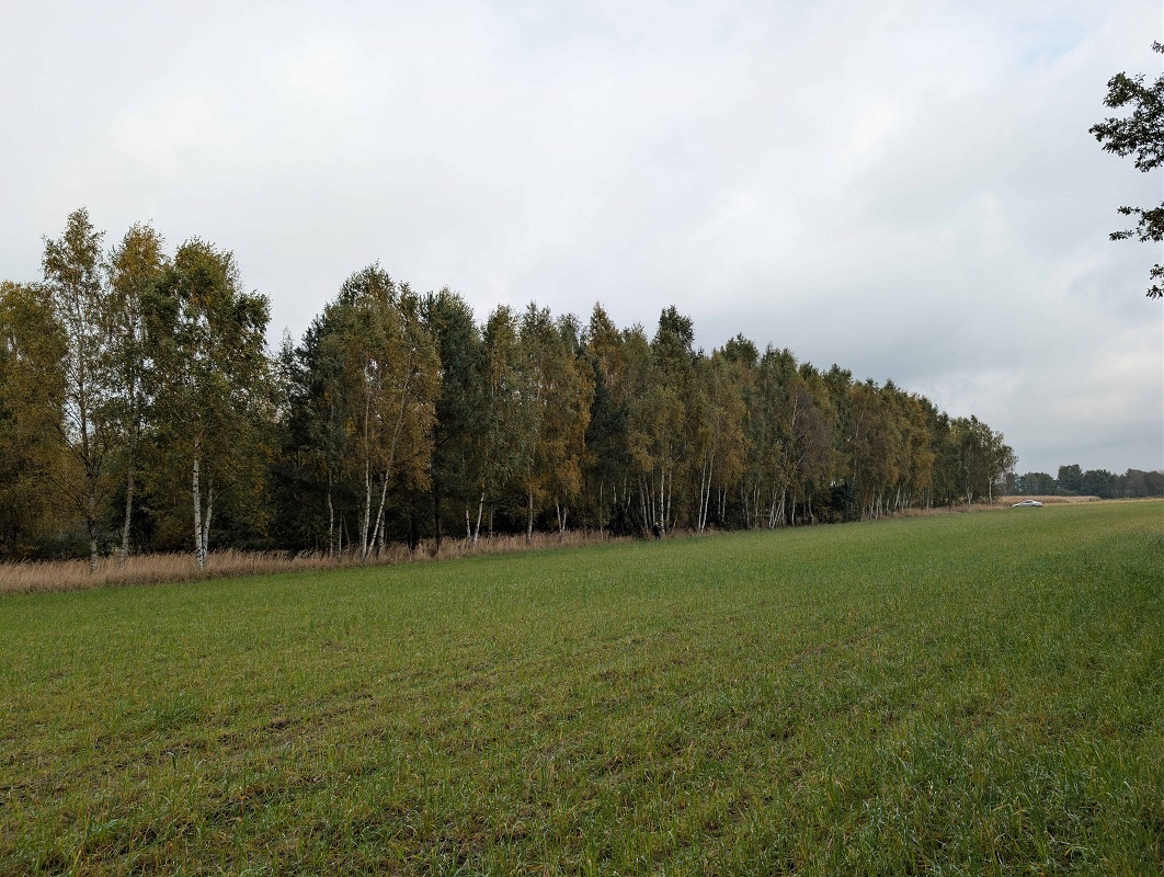 Działki rolne o powierzchni 2581m2, 3088m², Strzałków - 2