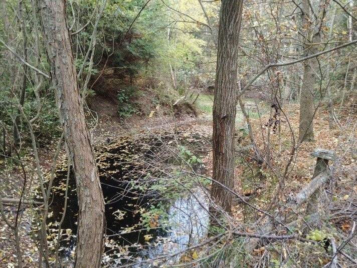 Niezabudowana działka w Kierzkowie, gmina Choczewo, woj. pom - 2