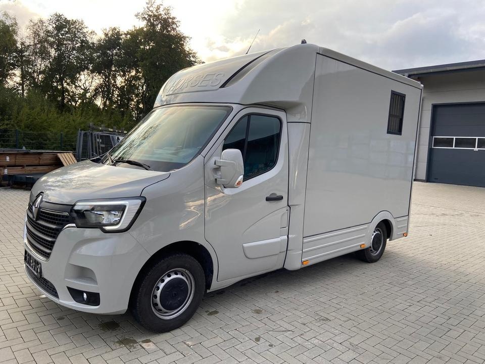 Renault Master – Transporter koni 1–2 konie | 2024 - 2