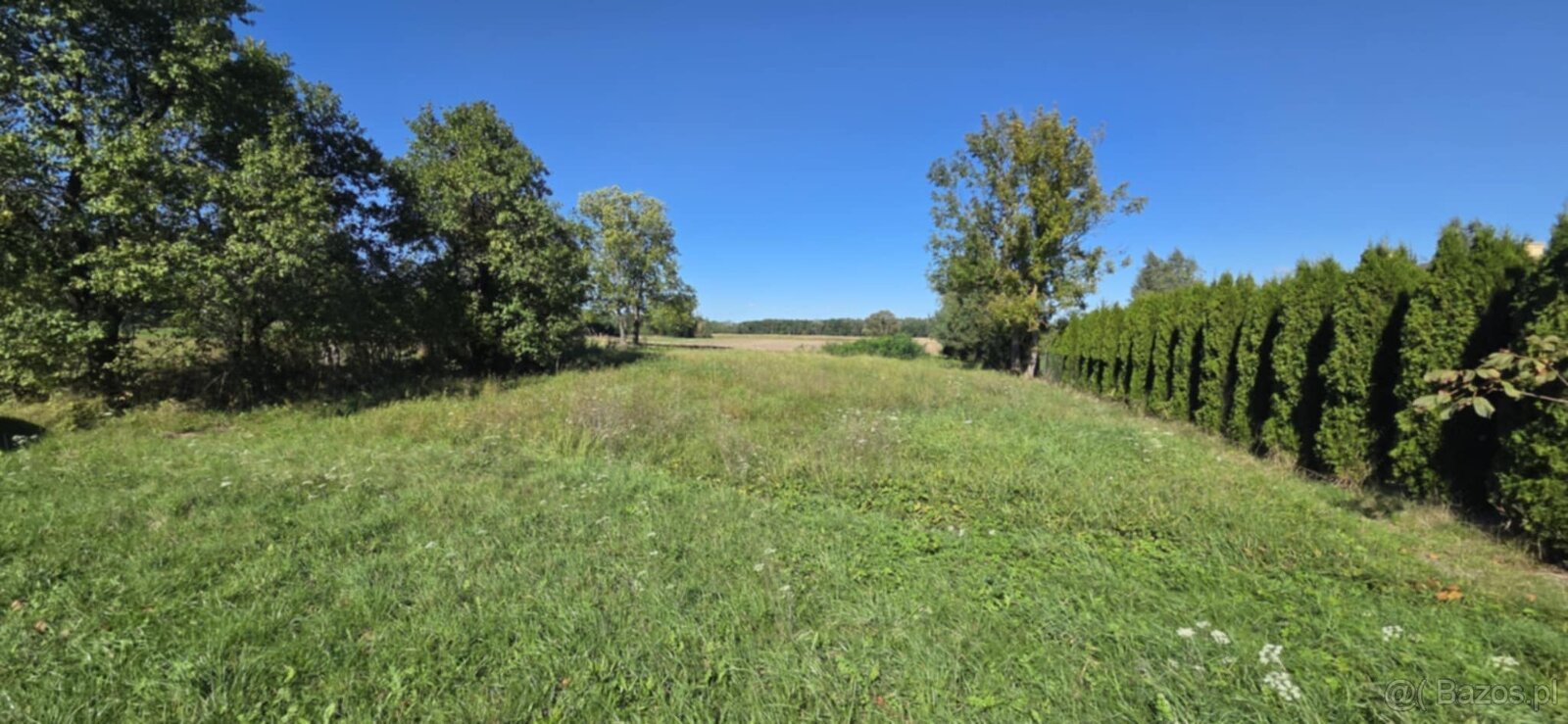 Na sprzedaż działka budowlana – Petryłów, gm. Sawin - 2