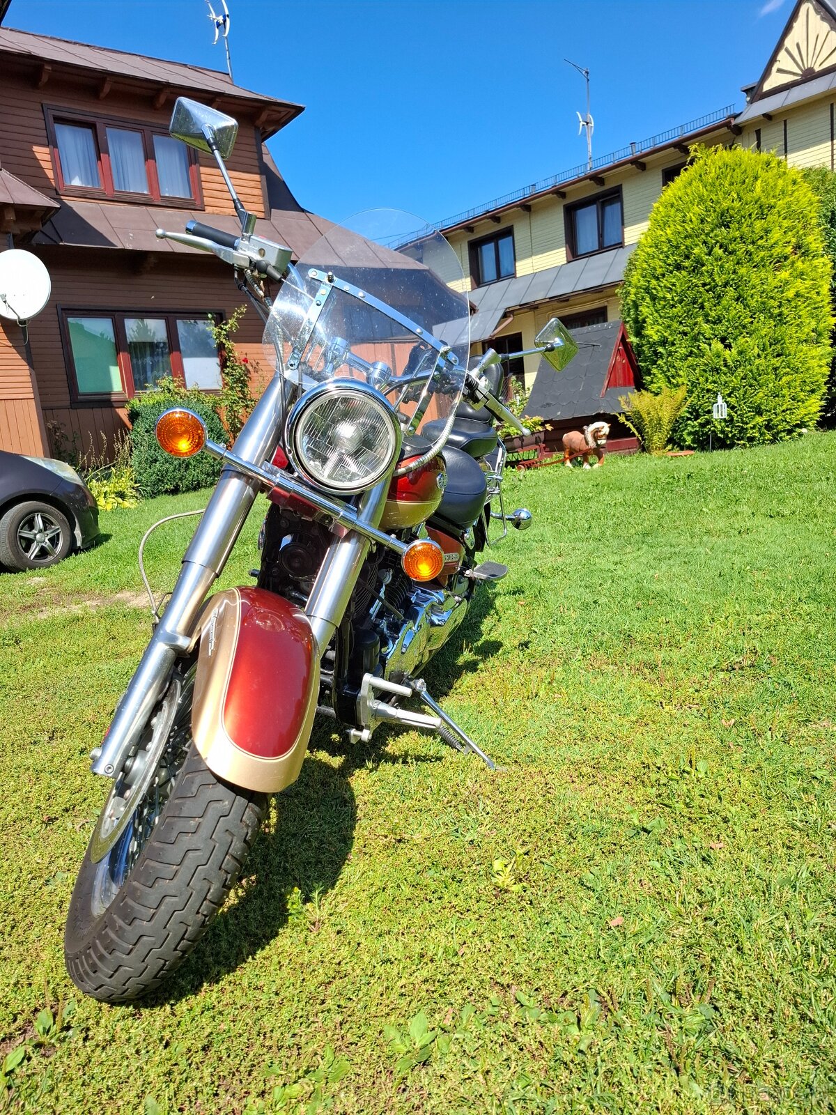 Yamaha XVS 650 classic Dragstar - 2