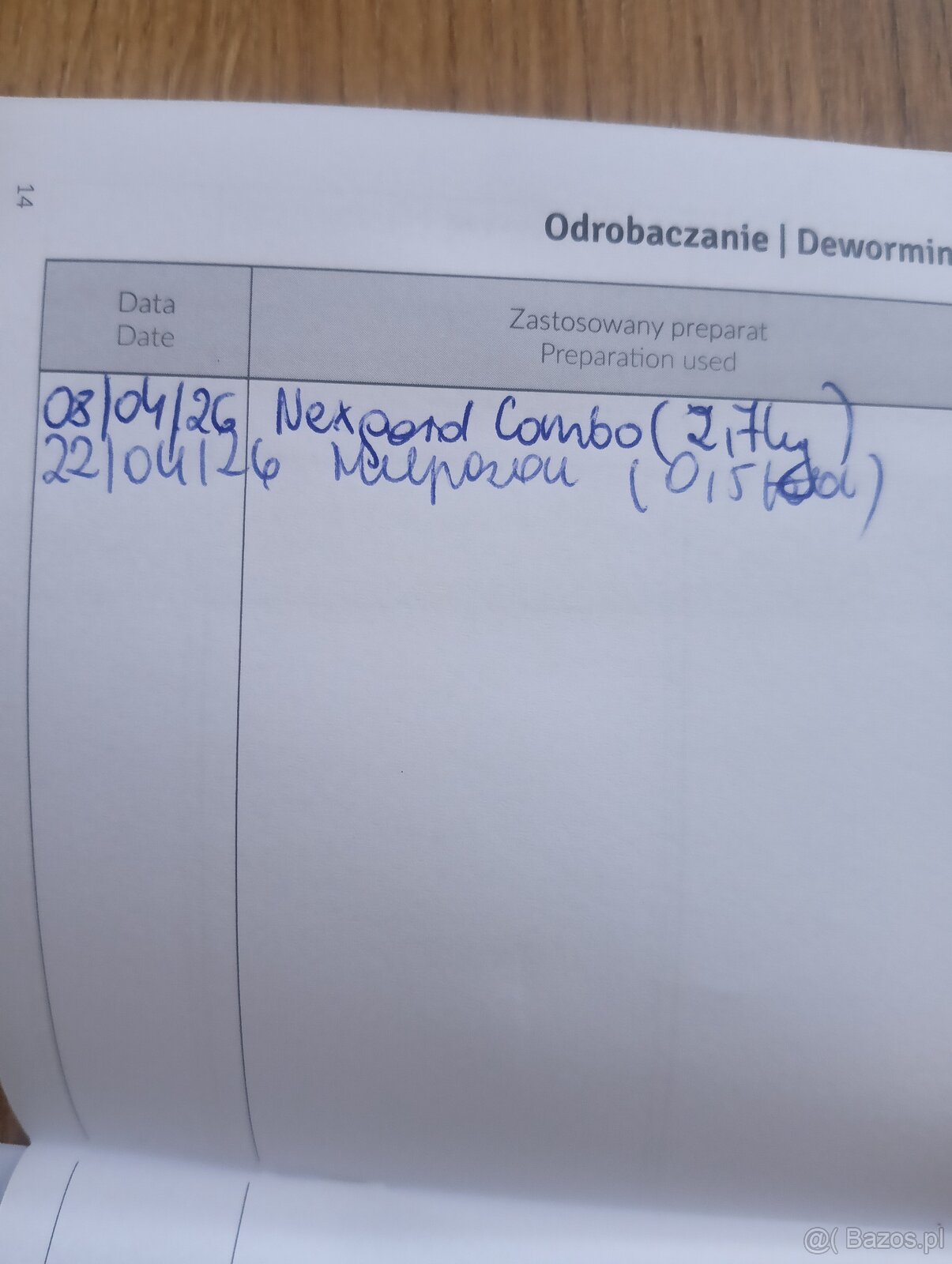 Ślucznotka do adopcji - 2
